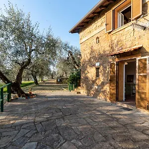 Casetta Maduneta Immersa In Un Oliveto , Dolceacqua Italia